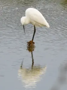 Menno 01 Spiegeltje spiegeltje aan de wand